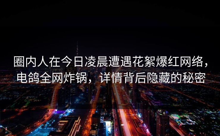圈内人在今日凌晨遭遇花絮爆红网络，电鸽全网炸锅，详情背后隐藏的秘密