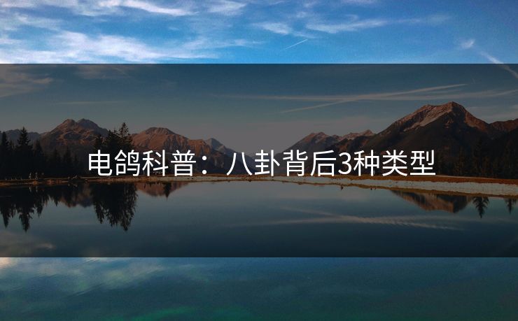 电鸽科普：八卦背后3种类型