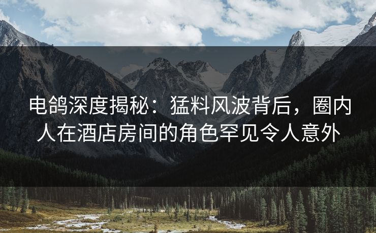 电鸽深度揭秘：猛料风波背后，圈内人在酒店房间的角色罕见令人意外