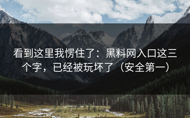 看到这里我愣住了：黑料网入口这三个字，已经被玩坏了（安全第一）
